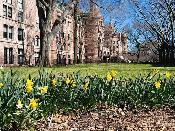 249 West 109th Street image 7 of 11