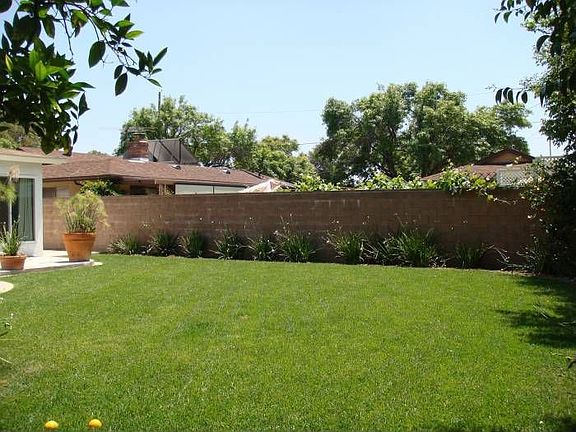 Back Yard 3