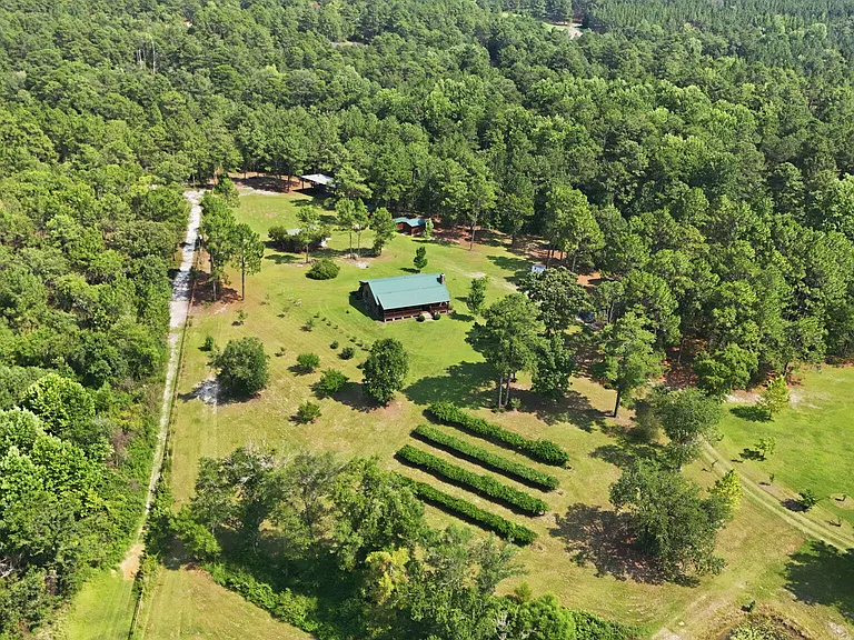 5103 Hillmon Grove Rd — Photo 3