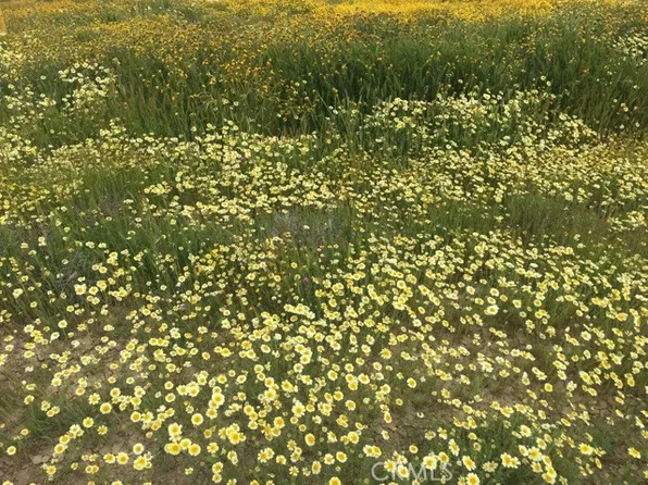 0 Death Valley Rd Lot 103, Santa Margarita, CA 93453