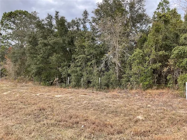 E Levy St Lot 6, Williston, FL 32696