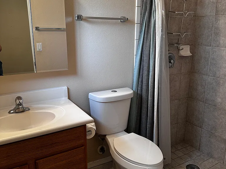 Master bath with walk in shower