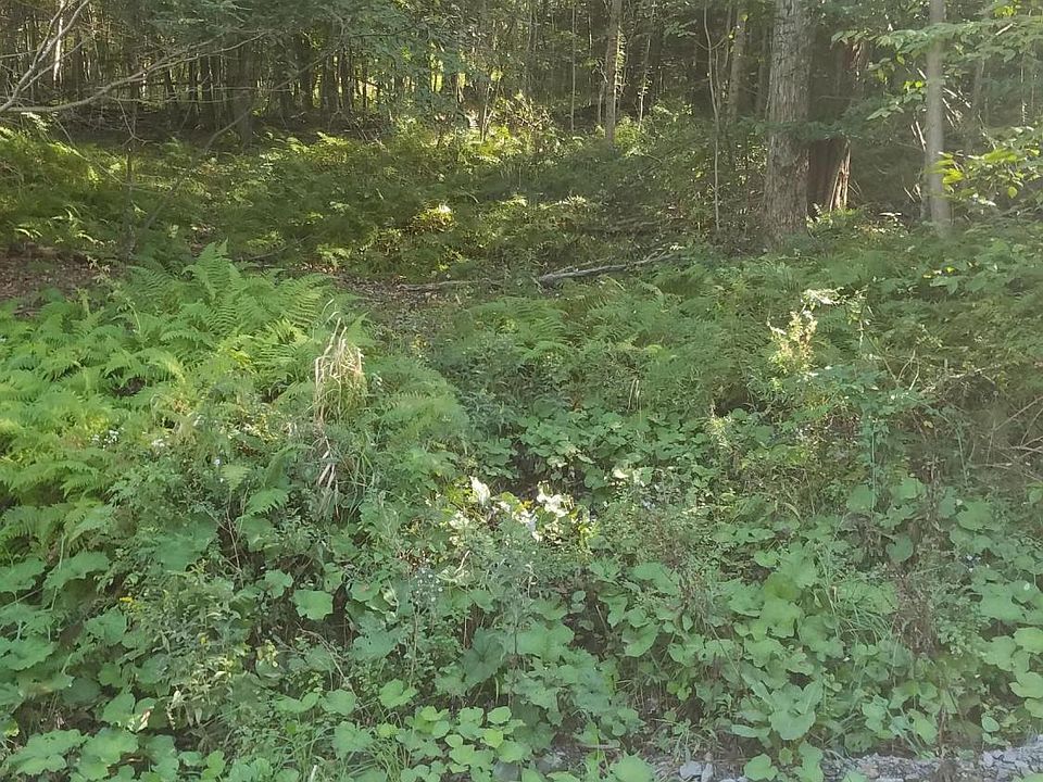2nd image of 1358 State Route 2096
