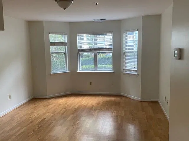 1 bed, 557 sqft, $1,600 — Photo 2