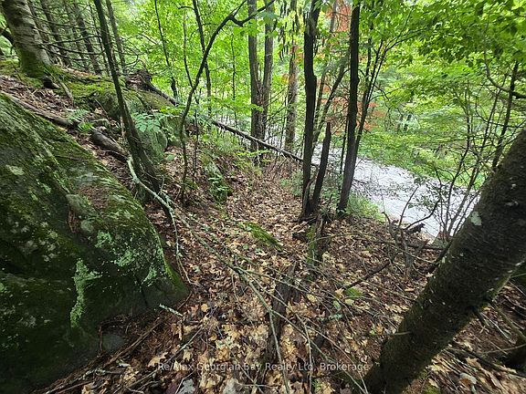 2nd image of 107 Balsam Chutes Rd