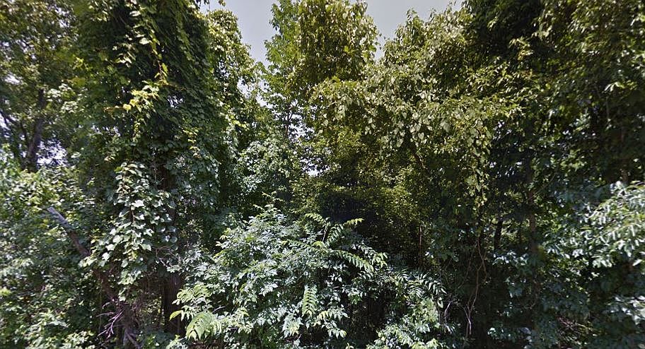 1st image of 16-18502 Selkirk Dr