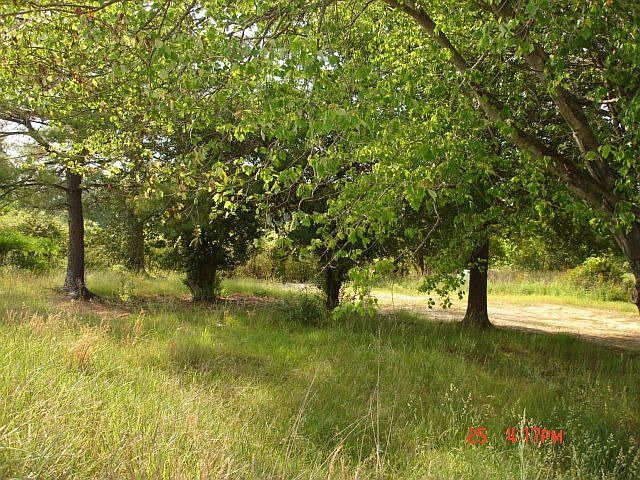 2nd image of 2351 Highway 73