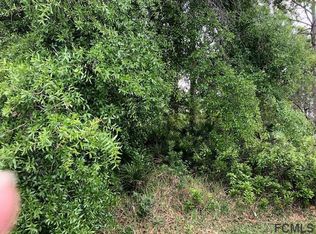 11 Selene Pl, Palm Coast, FL 32164