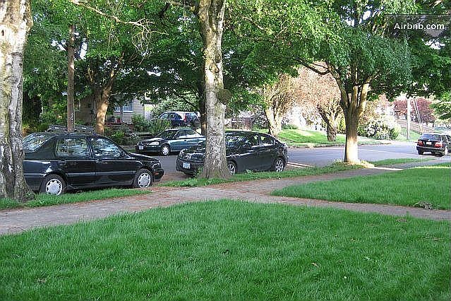 Front Yard