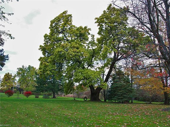 3rd image of 213 Scotland Ave