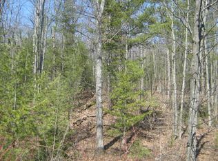 6724 Chippewa Trl, Indian River, MI 49749