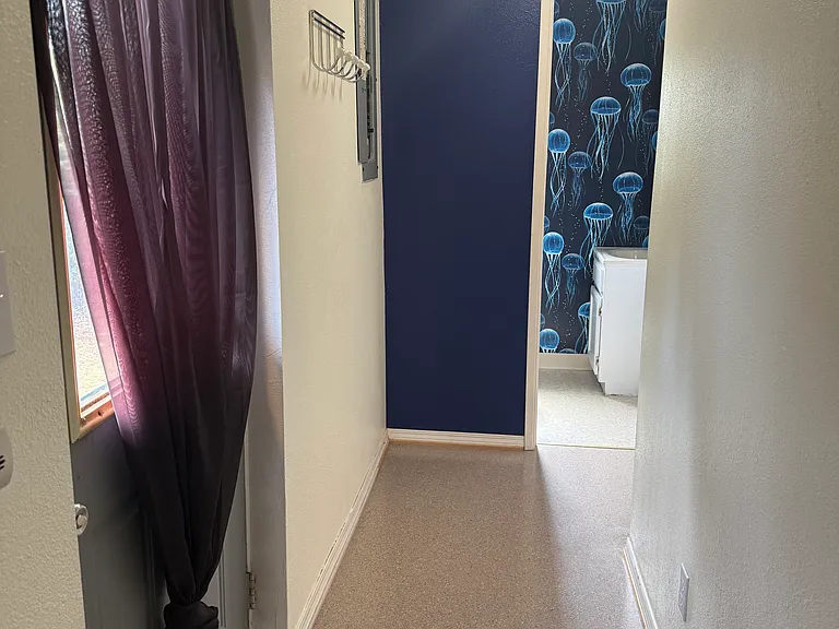 hallway back door