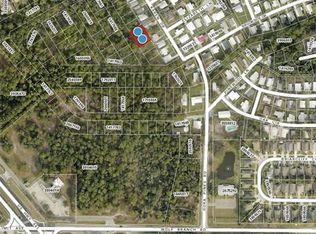 Lots 113 & 114 Karen Dr #113, Mount Dora, FL 32757