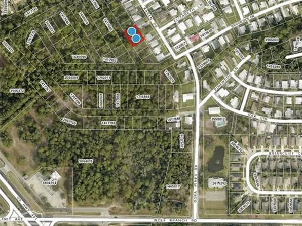 Lots 113 & 114 Karen Dr #113, Mount Dora, FL 32757