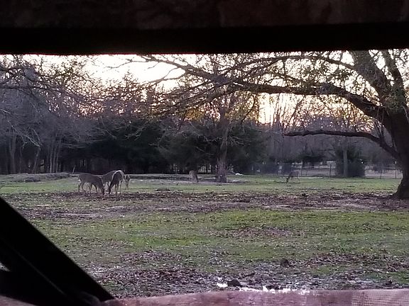 4th image of 3216 Private Road 2417