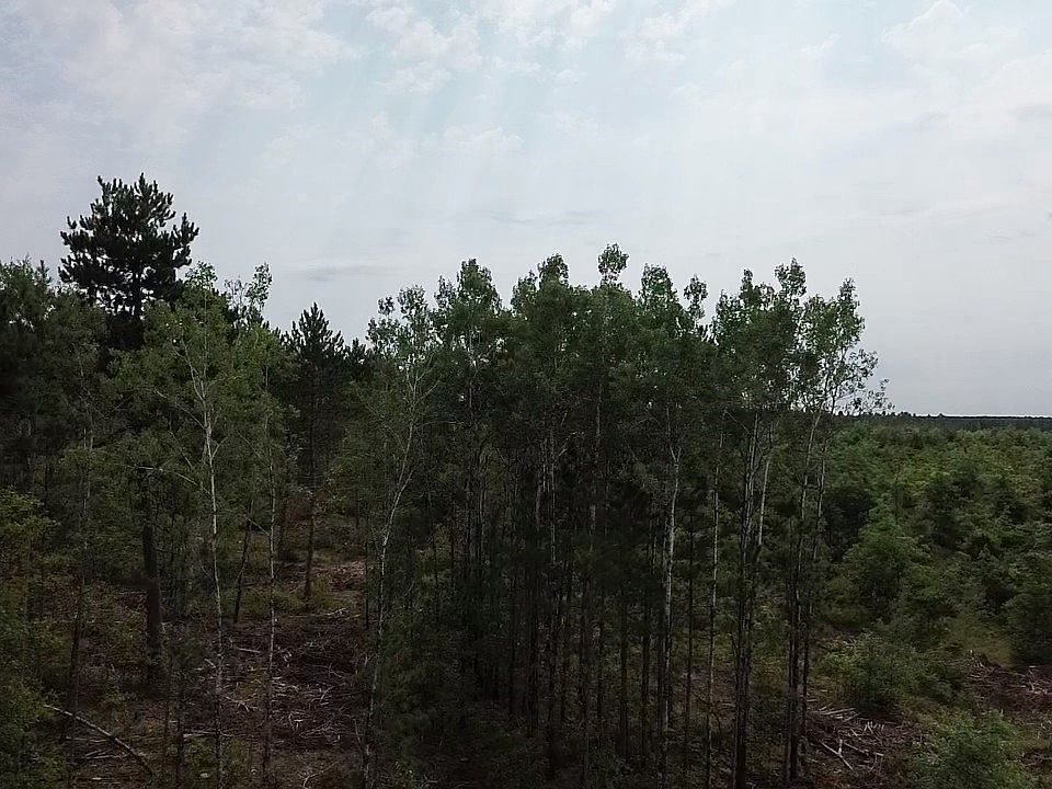 1st image of 22XX Tomahawk Lake Road