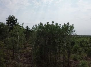 22XX Tomahawk Lake Rd, Solon Springs, WI 54873