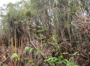 Road 11 LOT 630, Volcano, HI 96785