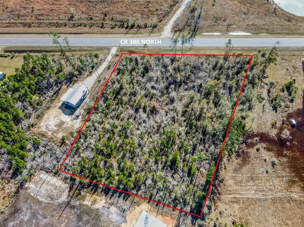 LOT 1 County Road 386 N, Wewahitchka, FL 32465