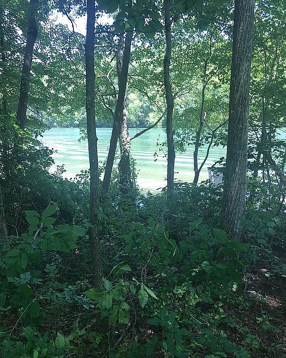 lot interior to water view
