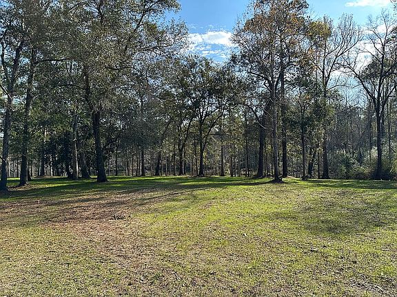 3rd image of 123 Lake Bold Springs Dr