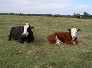 123 Route 2, Watts, OK 74965