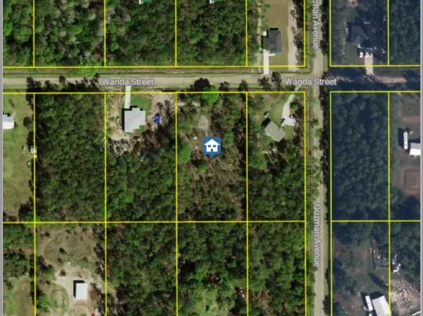 4315 Wanda Street, Hastings, FL 32145