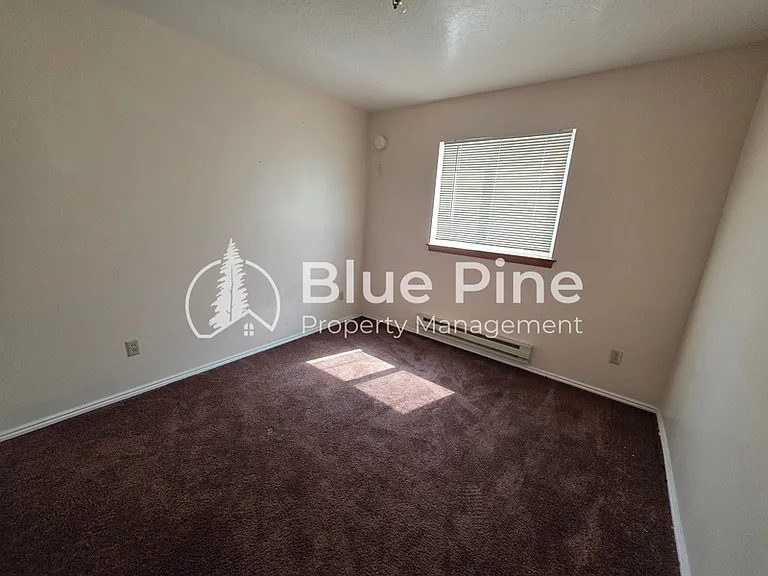 2137 Meppen Dr — Photo 6