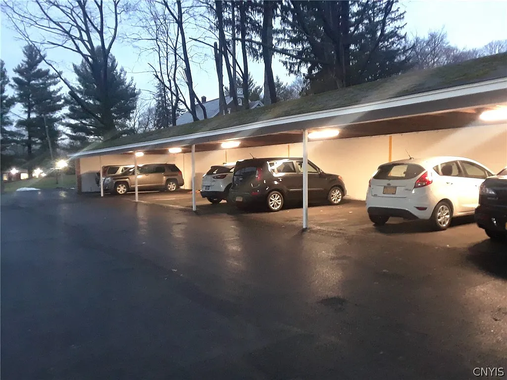 1 bed, 1.0 bath, 8118 sqft, $1,150 — Photo 3