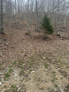 10.57 Peck Pike, Liberty, KY, 42539