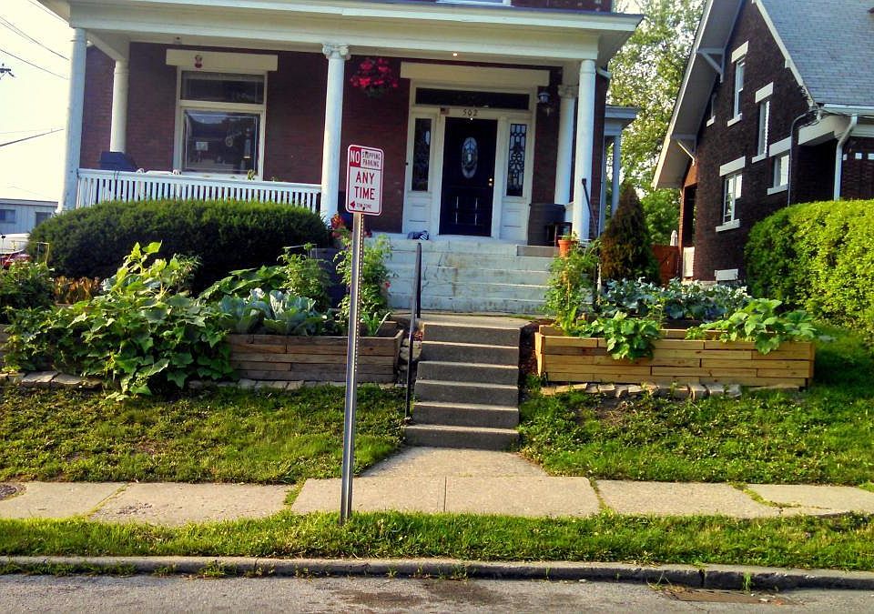 Terraced Garden Beds