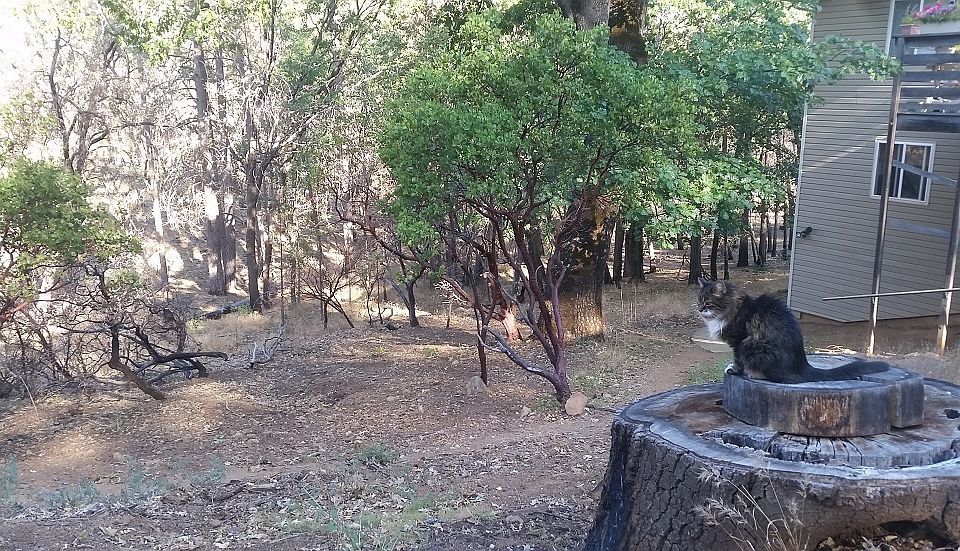 2nd image of 12020 Shenandoah Rd