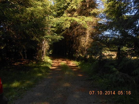 3rd image of 79 Fern Ln S
