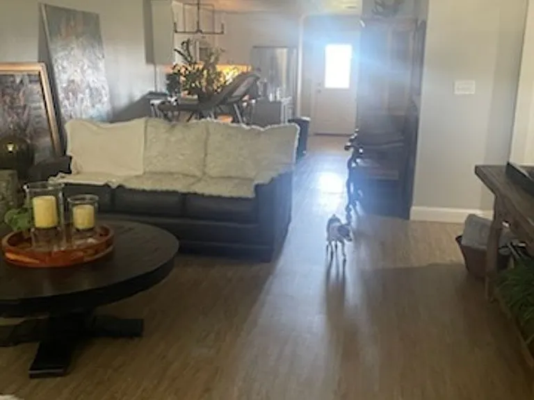 409 Kristie Path — Photo 2