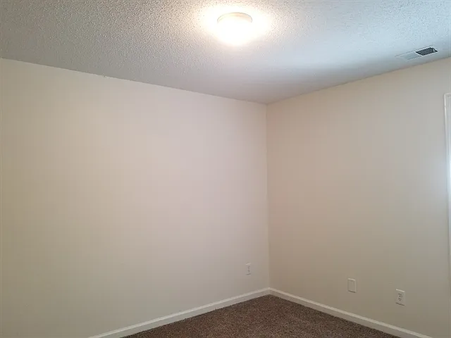 119 Mount Comet Ct — Photo 16
