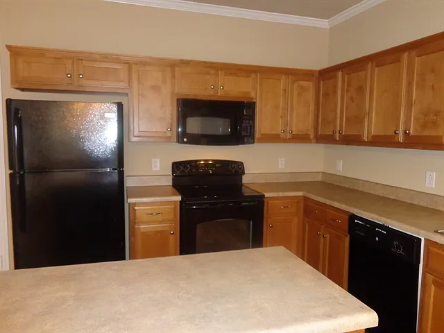 1167 Cynthia Ln — Photo 4