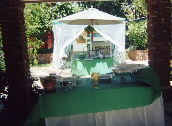 Courtyard off driveway entry