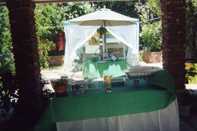 Courtyard off driveway entry