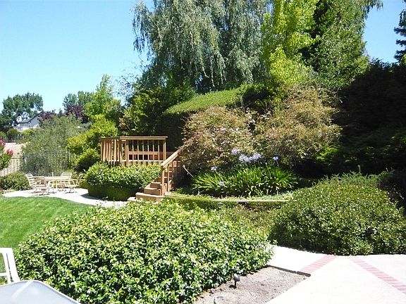 lush, mature landscape