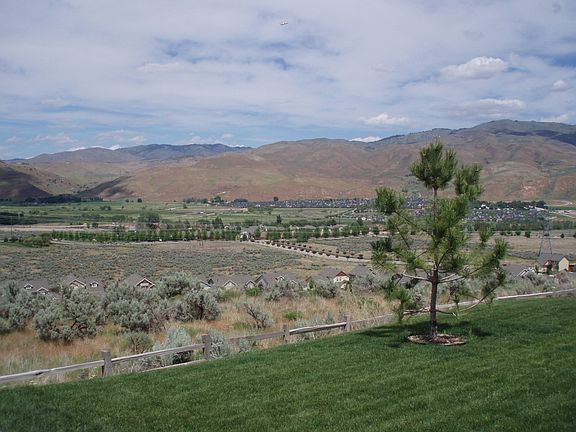 Backyard View