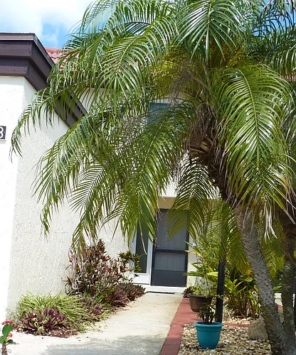 8718 Bay Ct Photo 1