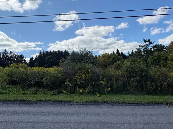 0 S Hill Rd, De Ruyter, NY 13052