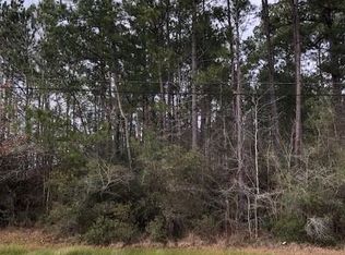1005 Yaupon Trl, Sour Lake, TX 77659