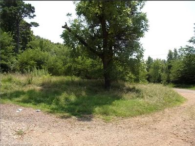 (Undisclosed Address), Ozark, AR, 72949