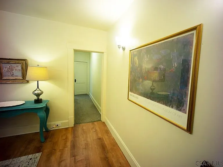 217 Mifflin St #1 — Photo 14