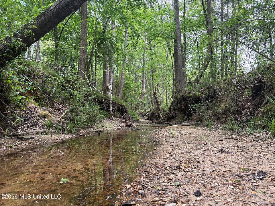 1st image of Forest Trl NE