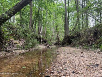 Forest Trl NE, Brookhaven, MS, 39601
