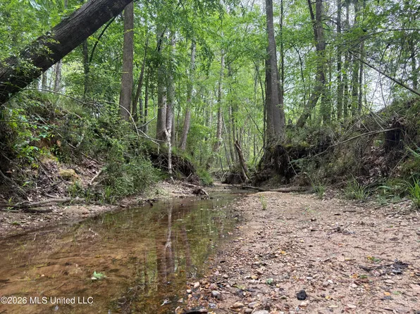 Forest Trl NE, Brookhaven, MS 39601