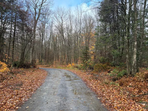 Net River Rd, Crystal Falls, MI 49920