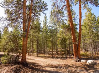 852 Birch Dr, Twin Lakes, CO 81251